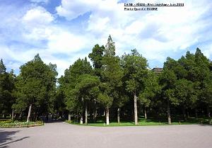 Pekin Jingshan 10